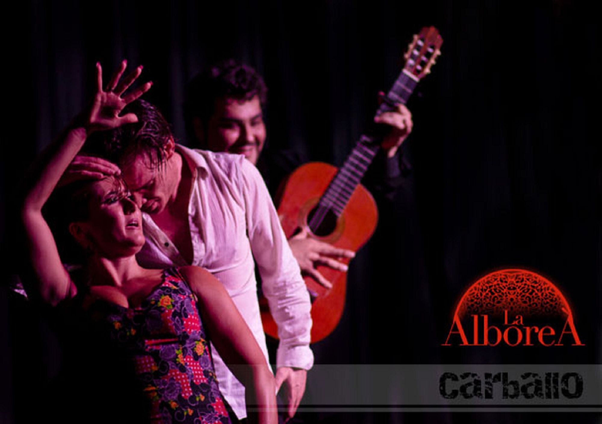 book reserve Flamenco Show La Alboreá Tickets granada tablao